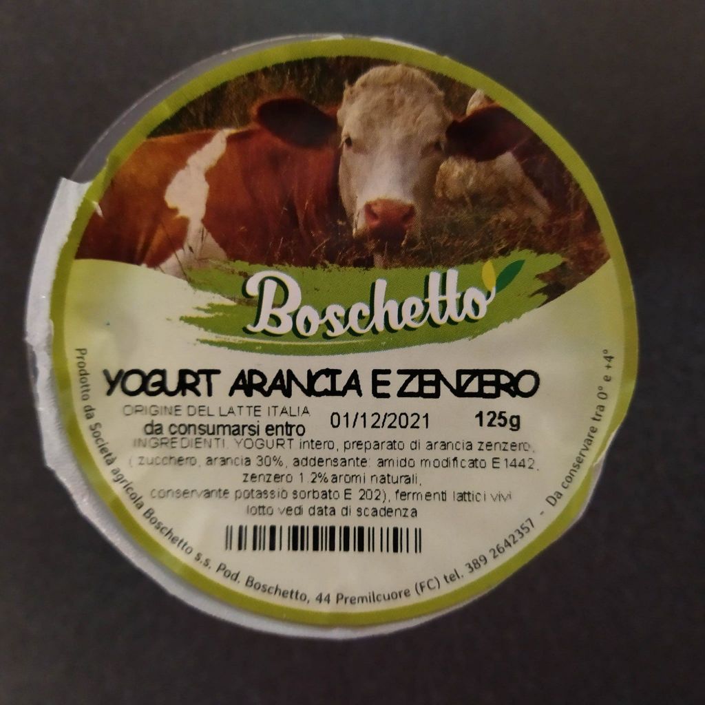 YOGURT 125GR ARANCIA E ZENZERO