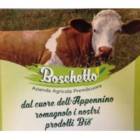 boschettologo