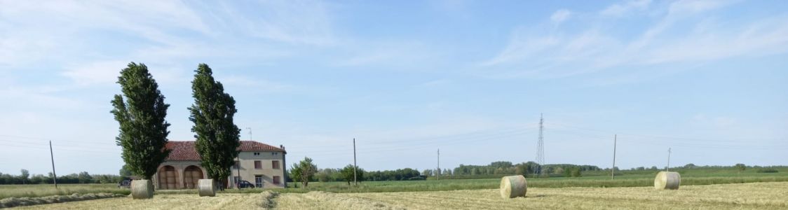 Candiabio Societ&agrave; Agricola Semplice