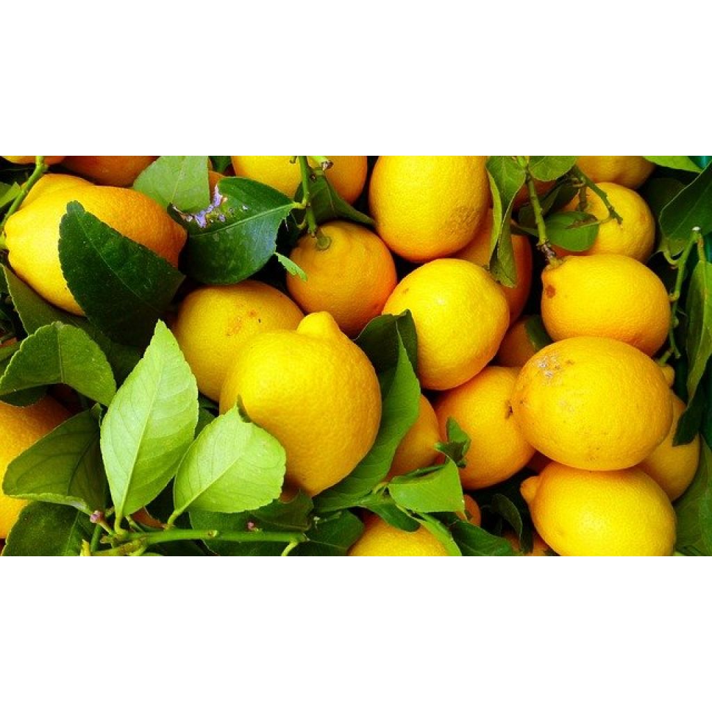 Box 4 Kg di Limoni Zagara Bianca - Buccia edibile