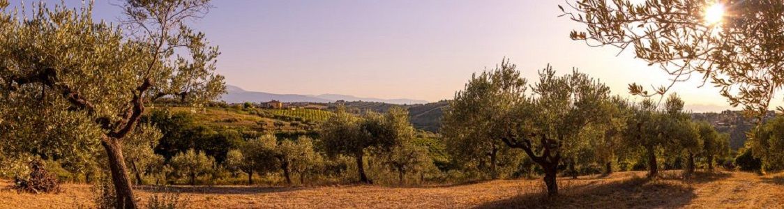 Azienda Agricola Teresio Luigi Mariani