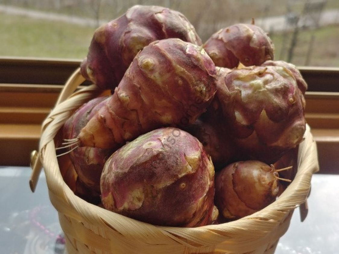 Societ&agrave; Agricola La Terra Veneta ss