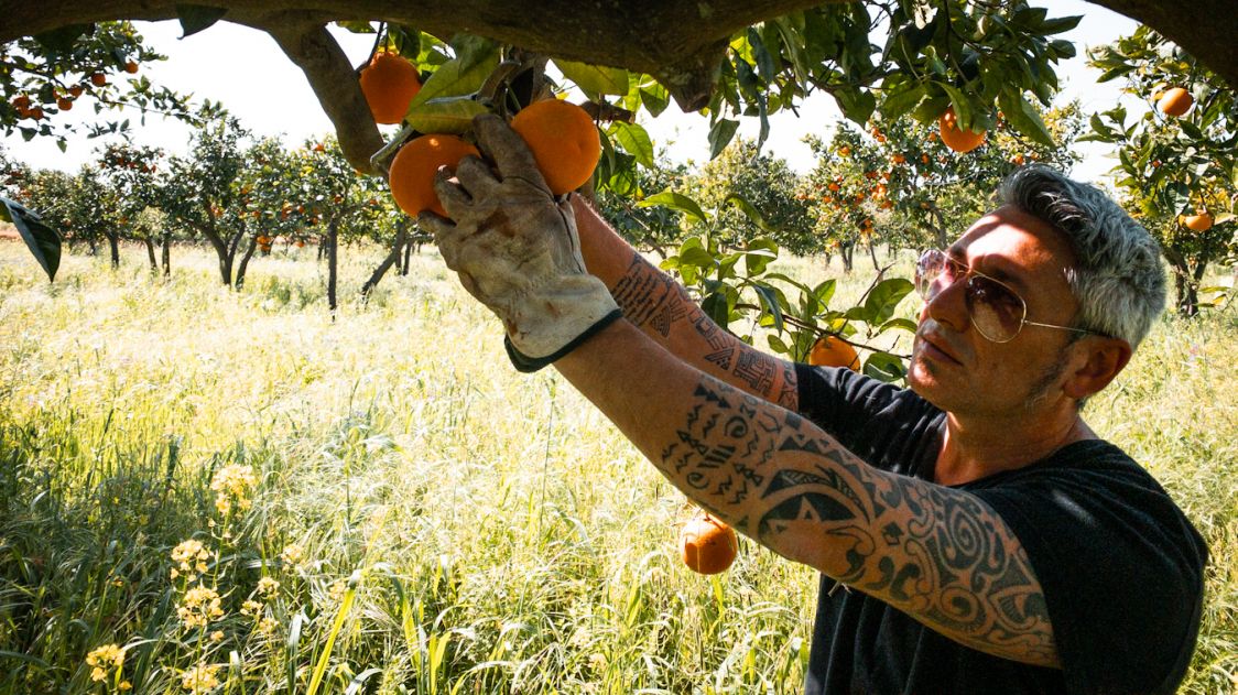 azienda agricola Panebianco