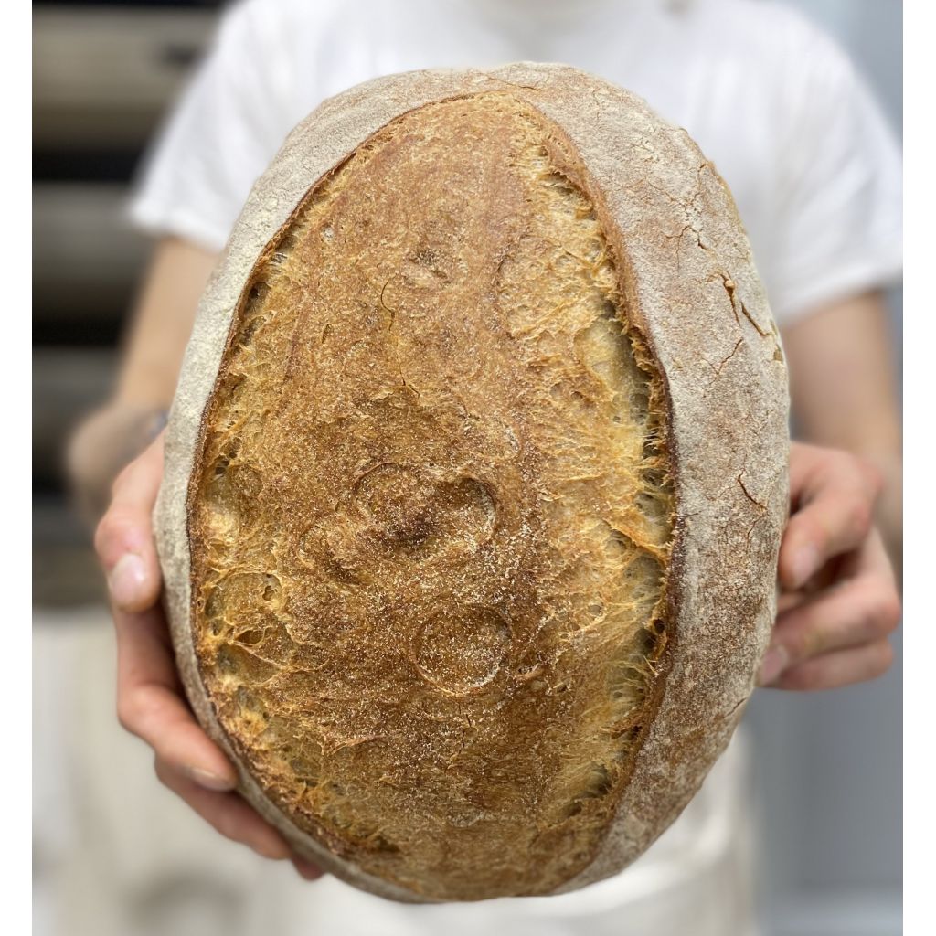 PANE TOSCANO TIPO 1 - 1KG