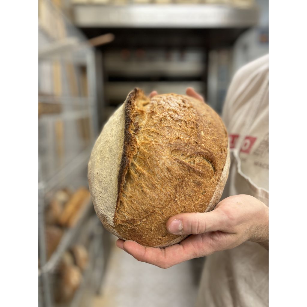 PANE INTEGRALE VALMARECCHIA