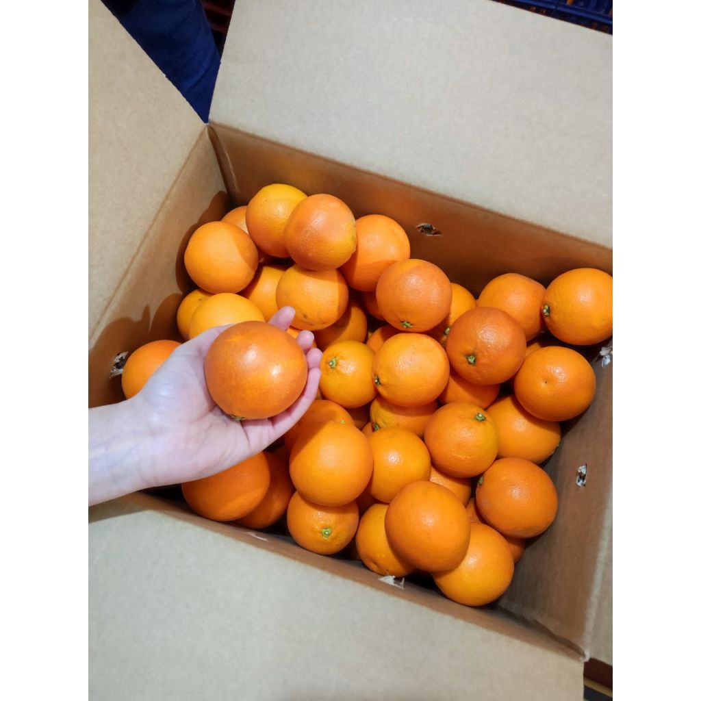 ARANCE ROSSE CAL. PICCOLO