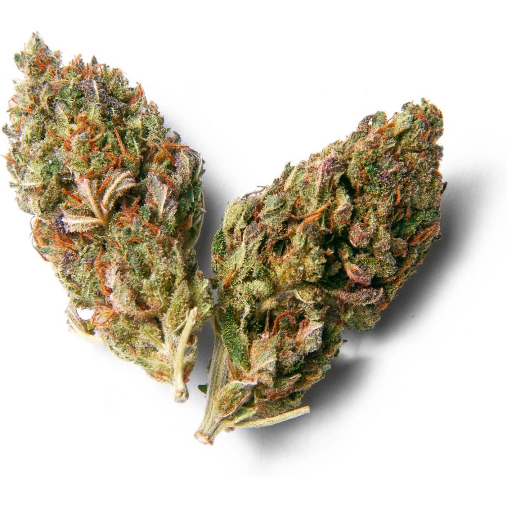 Bustina di Cannabis CBD - Watermelon 5g