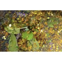 schermata 20220308 alle 18.58.33