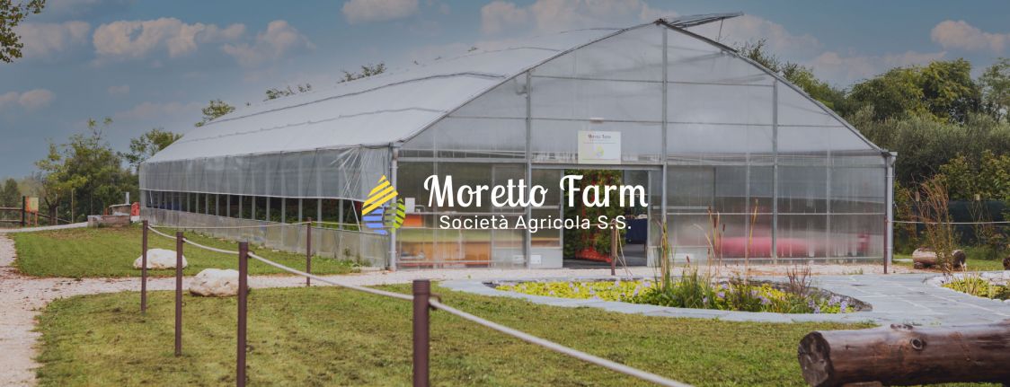 MORETTO FARM Societ&agrave; Agricola s.s.