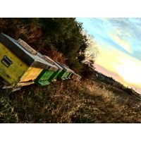 img_20210912_105401_033