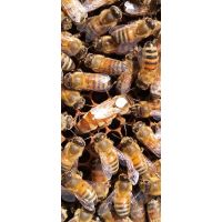 screenshot_20220402_140229