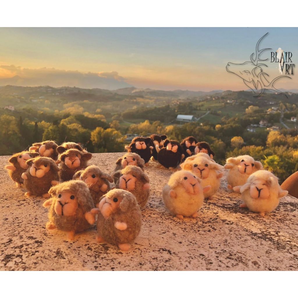 Pecorella infeltrita ad ago