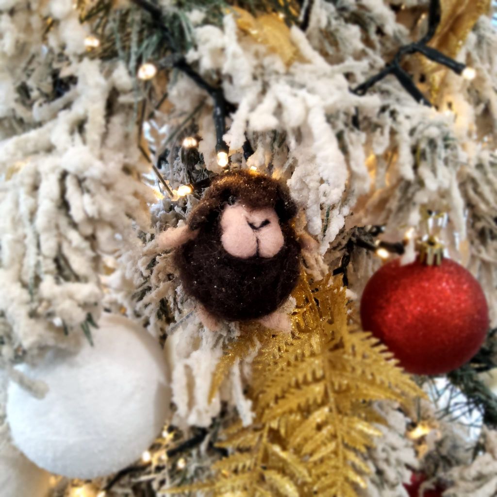 Pecorella infeltrita ad ago NERA