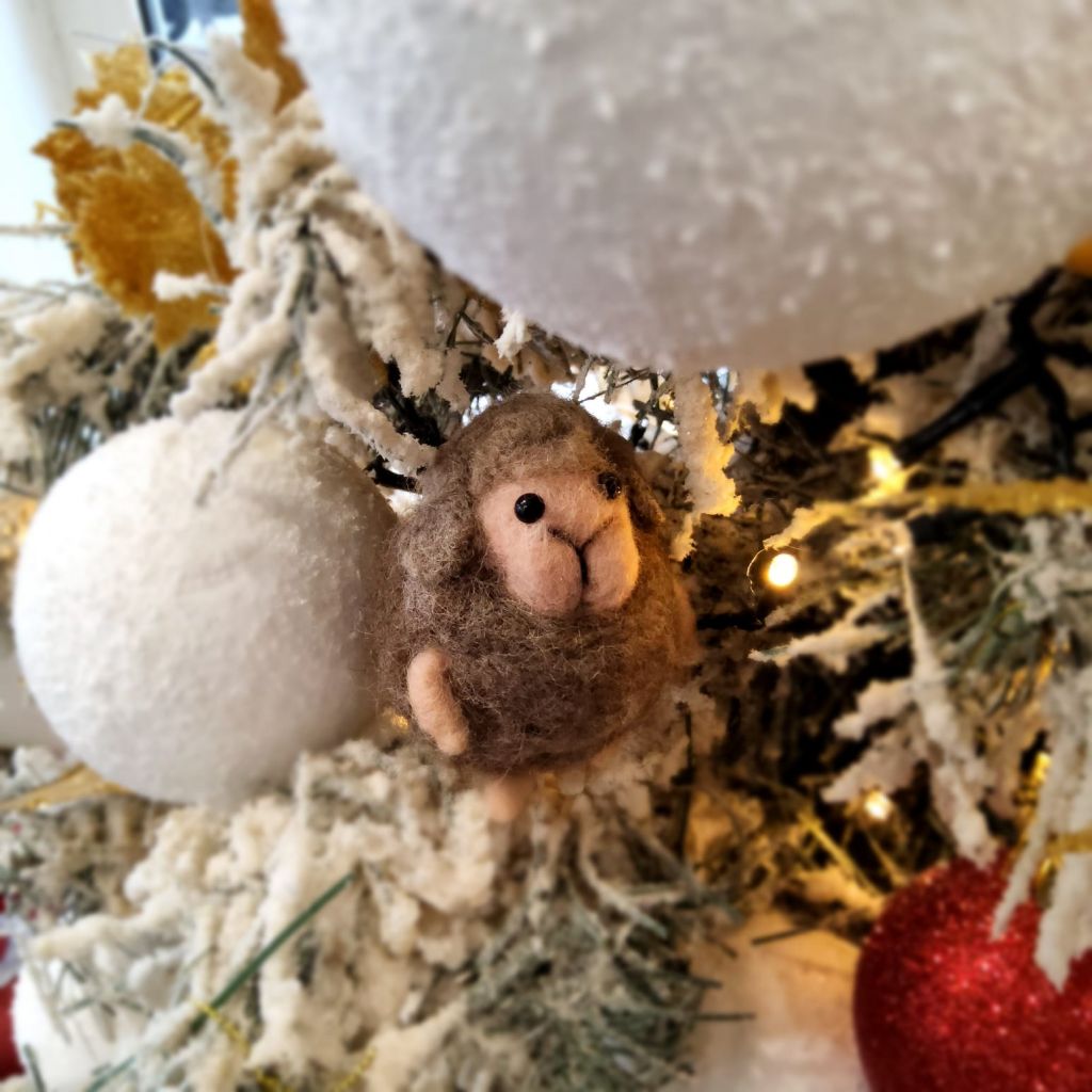 Pecorella infeltrita ad ago SCREZIATA