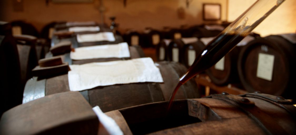 az agricola la vittoria di Mislej Patrizia - acetaia dei bago