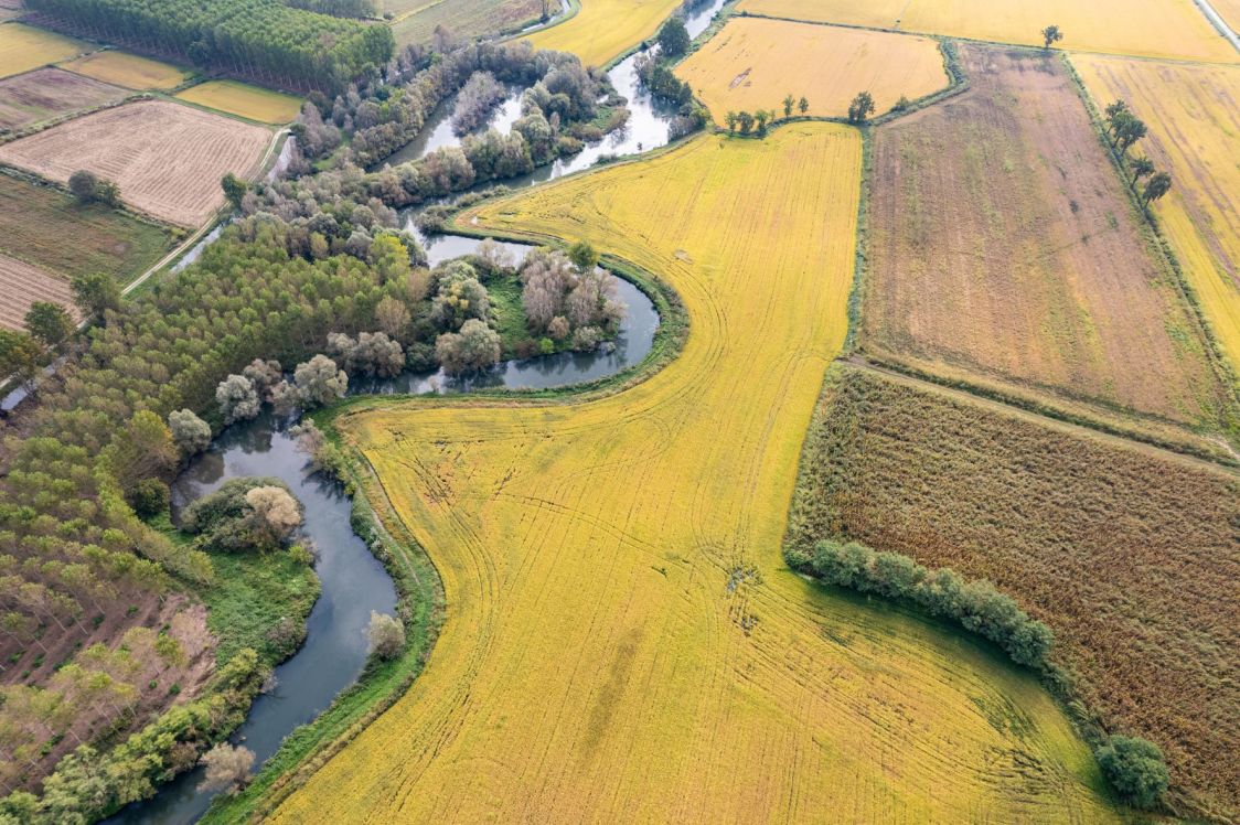 Foods Factory azienda agricola srl