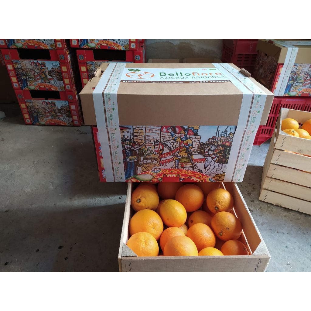 Cassetta di arance tarocco Bio 10 Kg