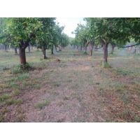 445fd945c3014736aca6fef4355153f0