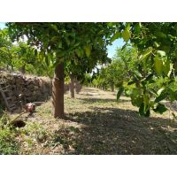 811d1a7de173406fbe86c22be38a4f13