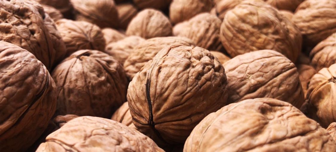 Noci Campana Claudio