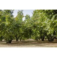 nocchieweb00211030x682