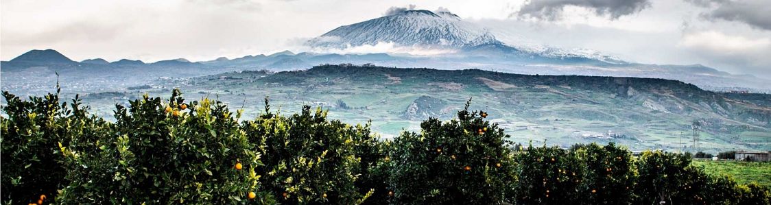 Azienda Agricola Aragona di Alessandro Barbera