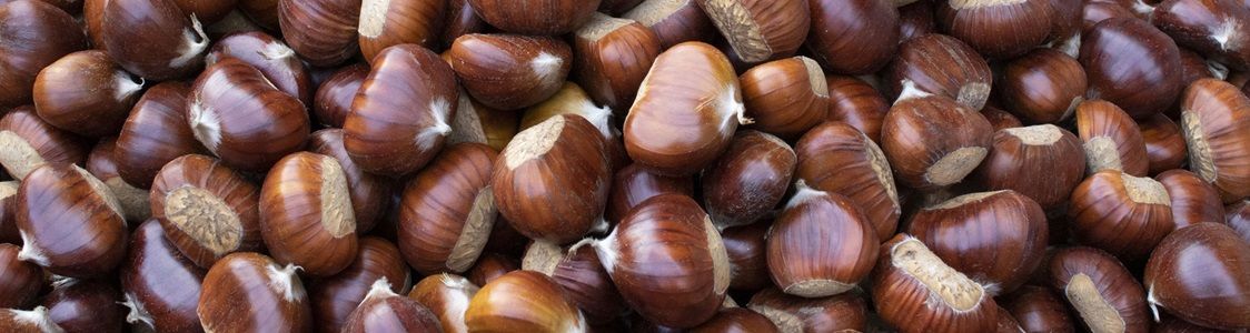 Il Regno del Marrone