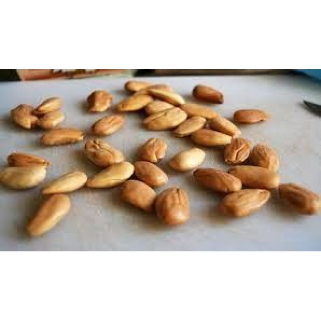 MANDORLA PELATA, TOSTATA E SALATA, confez. 100 gr