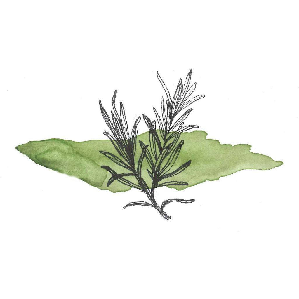 Idrolato di ROSMARINO 100ml spray