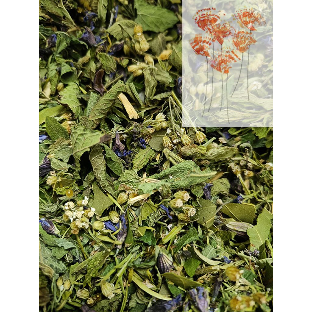TISANA DOPOPASTO 30g