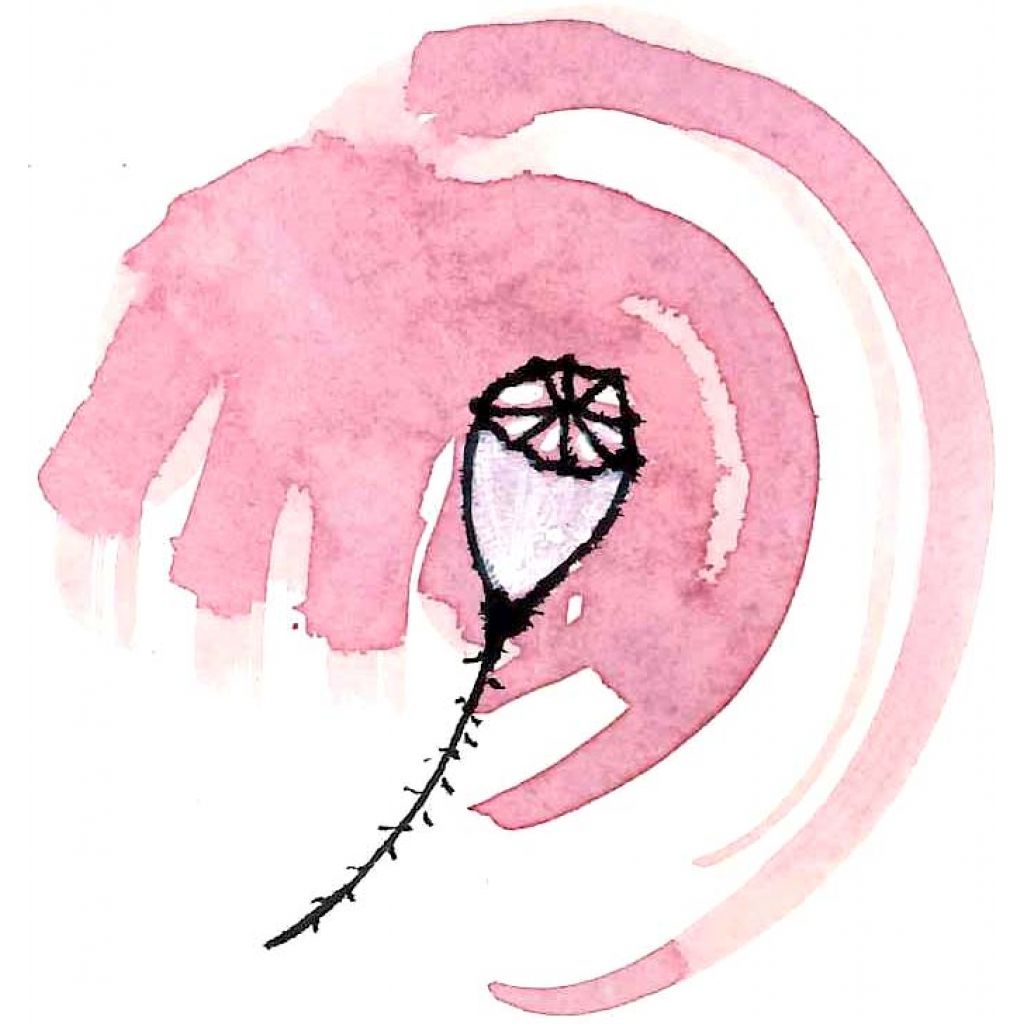 Tisana del sognatore 25g