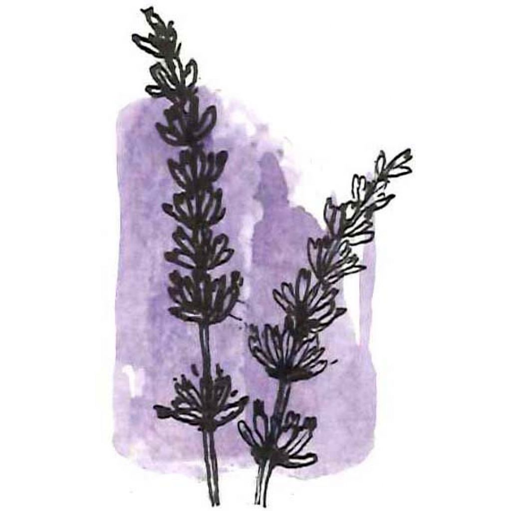 Unguento di lavanda 30g