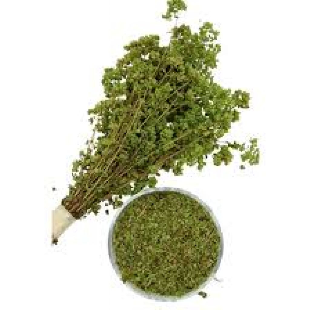 Idrolato di Origano - 100 ml