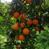 img_20220205_183738_638