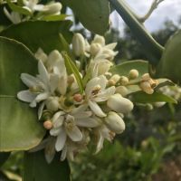 img_20220721_201830_594