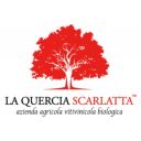 La Quercia Scarlatta