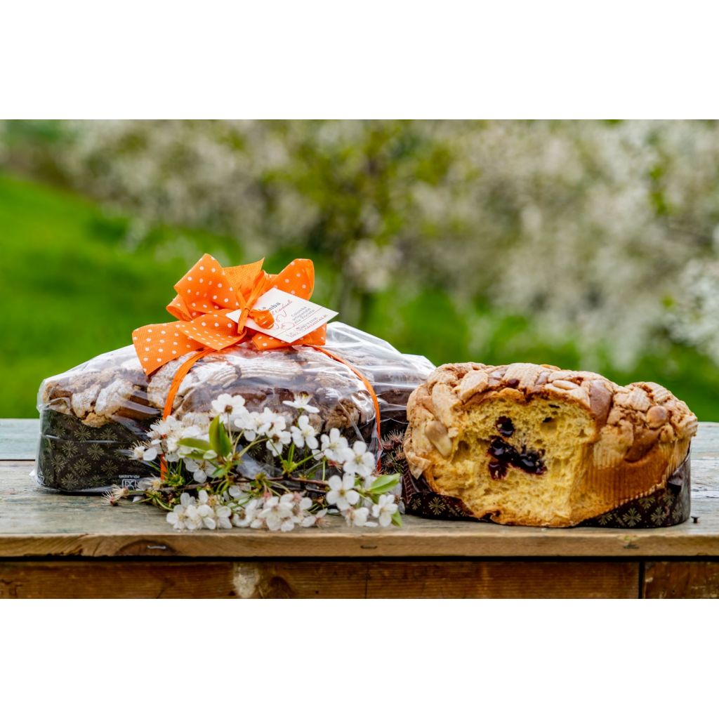 Colomba Cuore di Visciola g 500