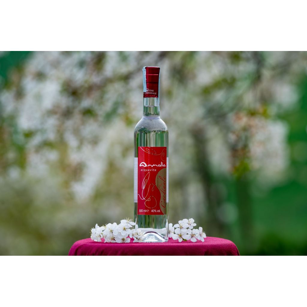 Acquavite di Visciola Ammalia cl 50