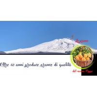 facebook_copertina__le_arance_del_nonno_pippo_