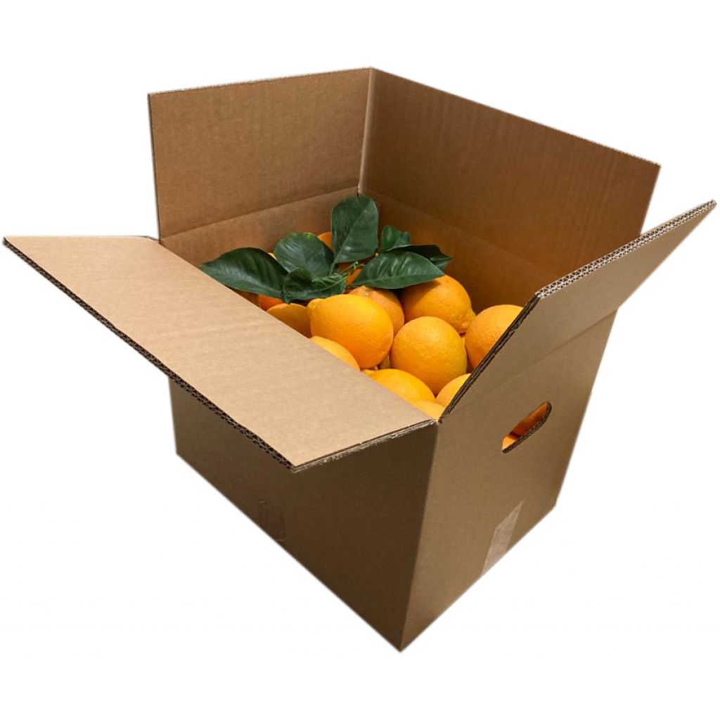 Arance di Sicilia - Tarocco IGP 9 Kg