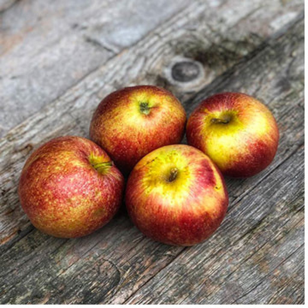 MELA ROSSA di CREMONA 3 Kg