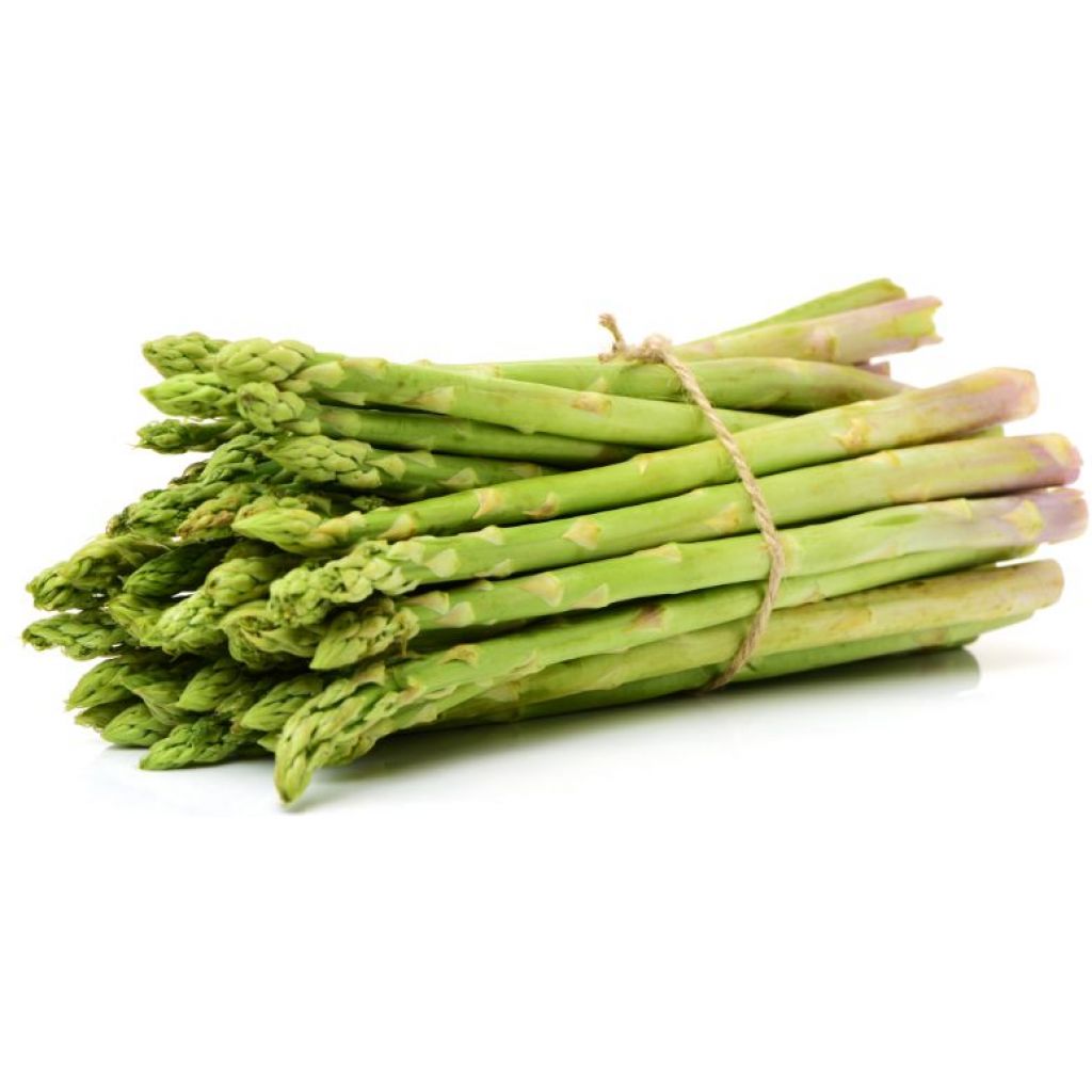 Asparagi