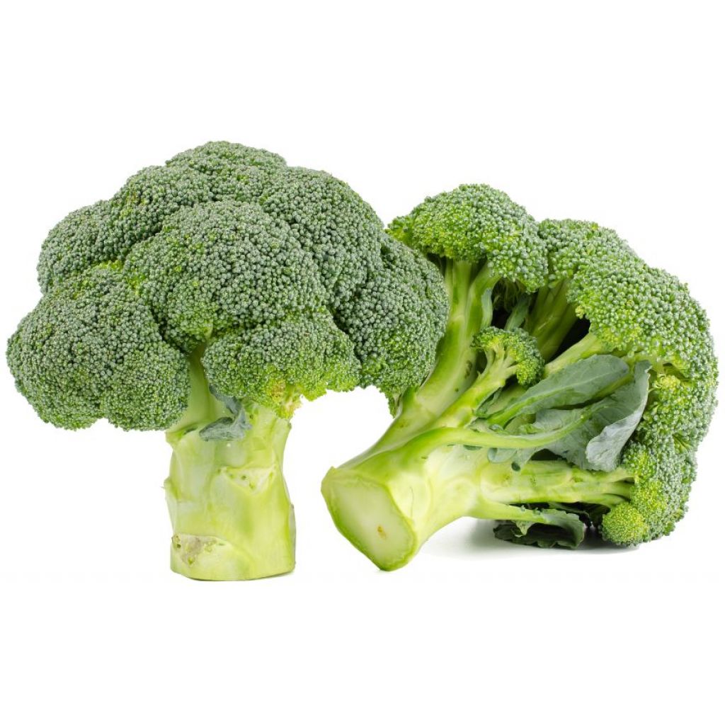 Broccoli