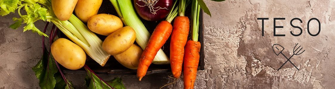 Azienda Agricola Teso