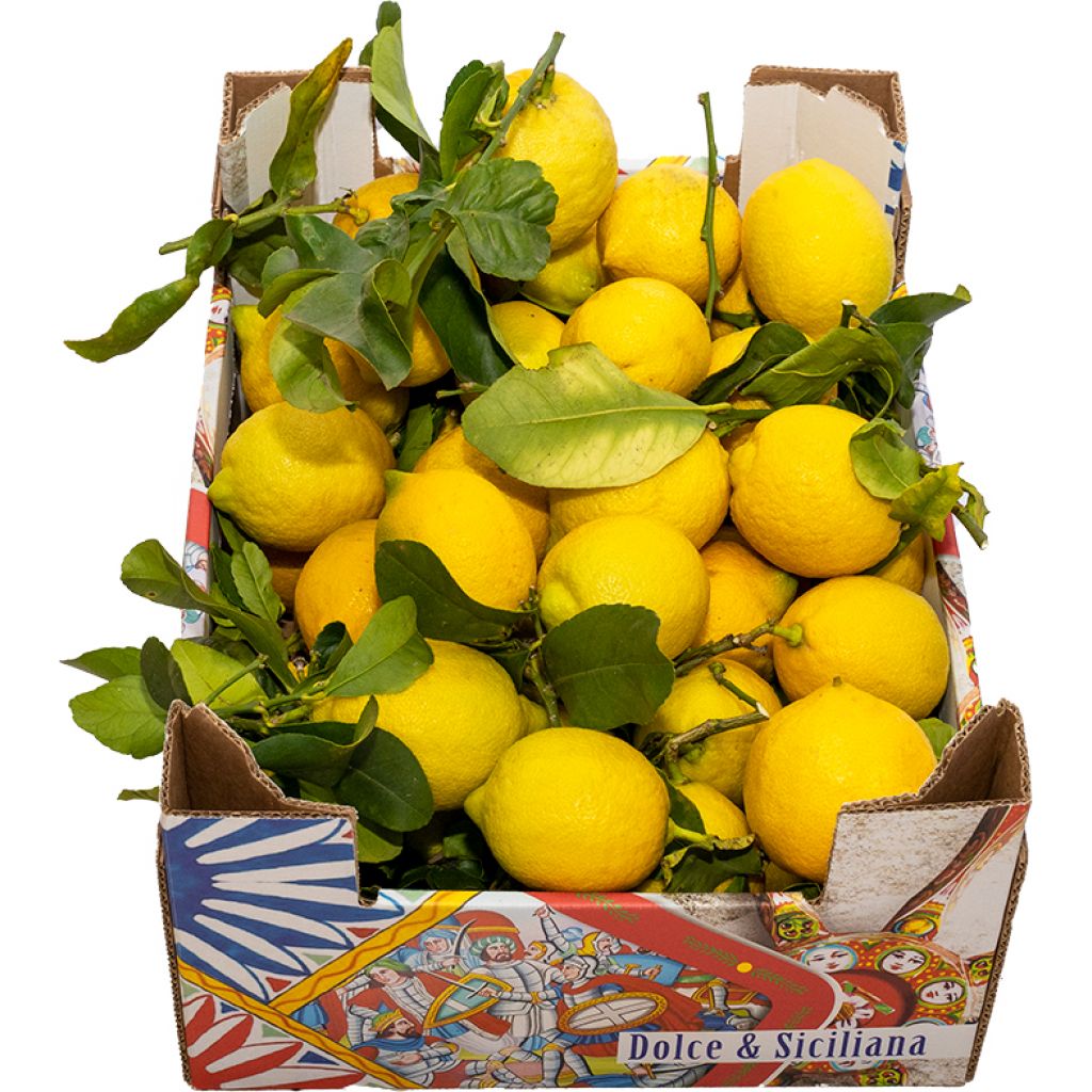Cassetta di limoni