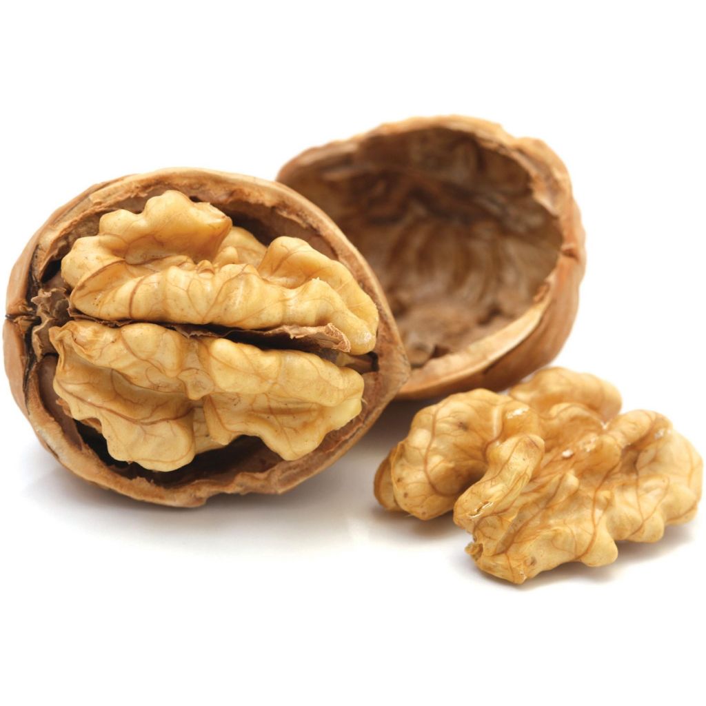 Noci dell&rsquo;Etna