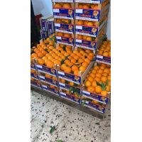 829d9f4e544a4108bb3de5d5f1f31d45