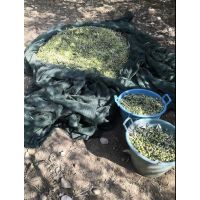 912caf5217c2434aaeabcce172c2348d