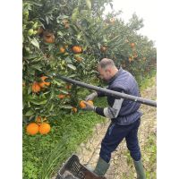 c7cf8a1d244a44989597ccc56e2d0788