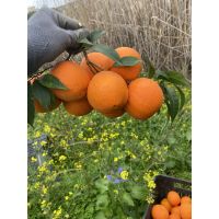 cf6766acfa82483d9a18b7f94caf6dfb